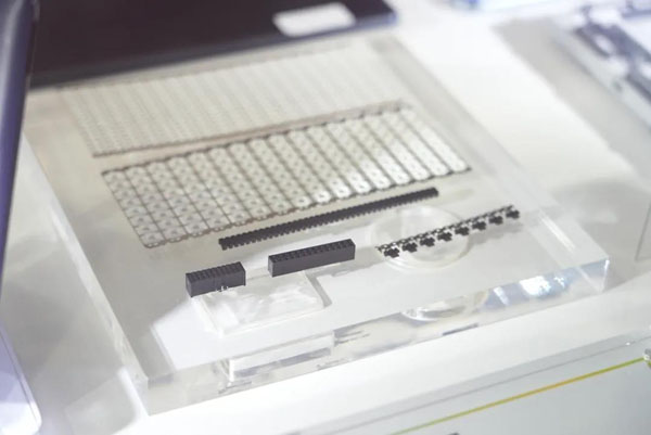 GA黄金甲(中国)最新官方网站